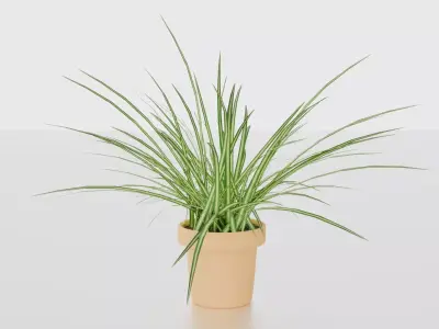 Indoor plants for decoration Low-poly 3D model
