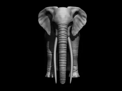 Realistic Elephant 3D model