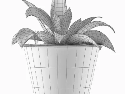 Plants Collection 108 3D model