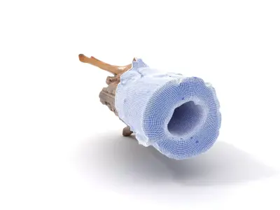 Rustic Wood Log model pack Texture