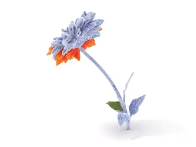 Sunny Dahlia model pack Low-poly 3D model