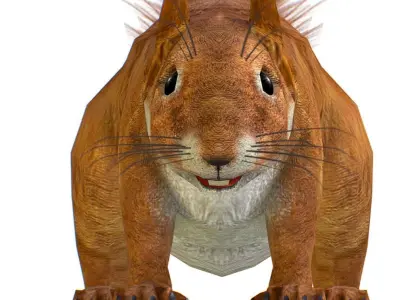 LowPoly Forest Wild Red Squirrel Low-poly 3D model