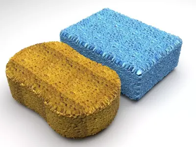 Bath Sponges 3D model