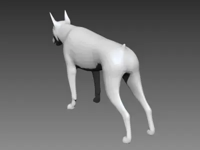 Doberman base mesh for Zbrush 3D model