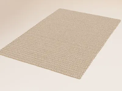 Thickly woven carpet 3D model