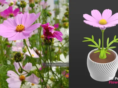 3D printable Flower Pots 3D print model