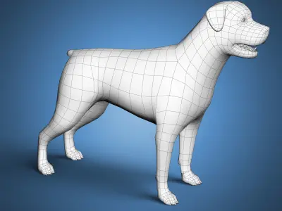 Rottweiler Dog Base Mesh  Low-poly 3D model