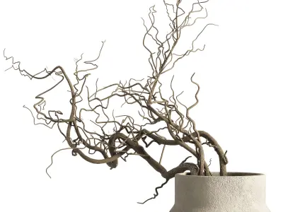 Japandi inredning bouquet 3D model