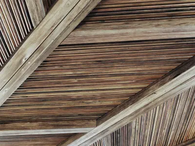 Ceiling diagonal branch straight n2 3D model