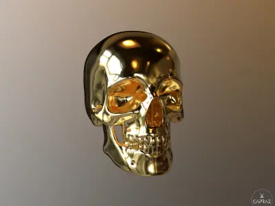 3D Printable Skull - rc 3D print model