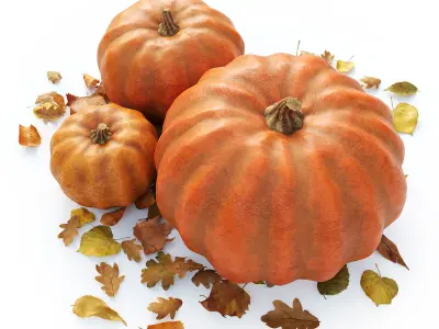 Set of pumpkins with leaves 3D model