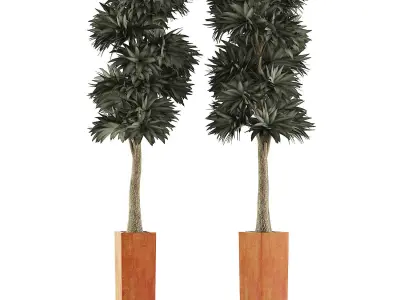 Plants Collection 102 3D model