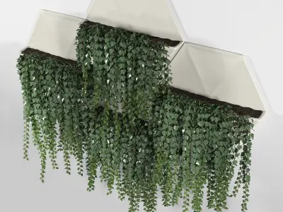 Hexagonal Honeycomb Succulent Wall Planter 3D model