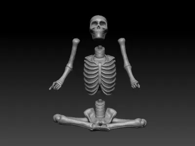 Meditating Yoga Skeleton 3D print model