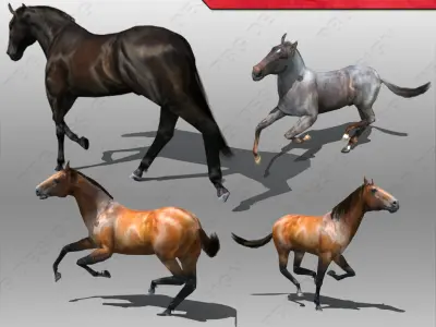 Horse Animated Low-poly 3D model order