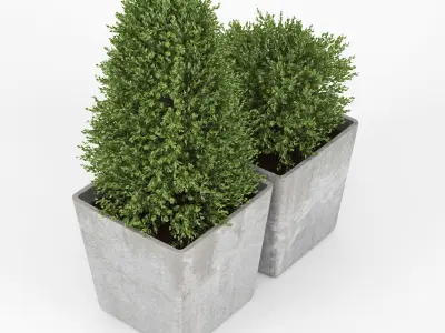 Bush concrete pot 3D model