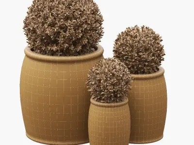 Potted Buxus Balls 02 3D model