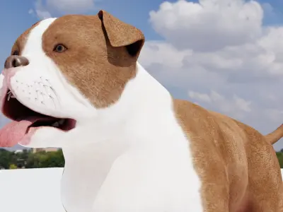 Pitbul Flex 3D model