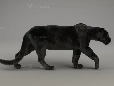 Black Jaguar 3D Blender 3D model