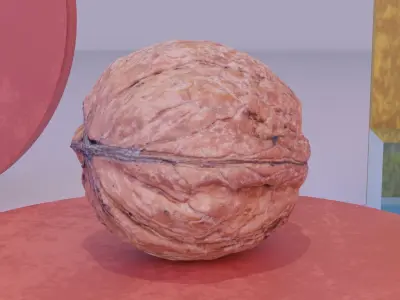 Walnut fruit 05 high-poly 3D model