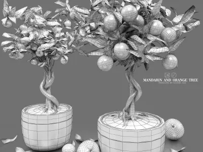 mandarin and orange tree 3D model