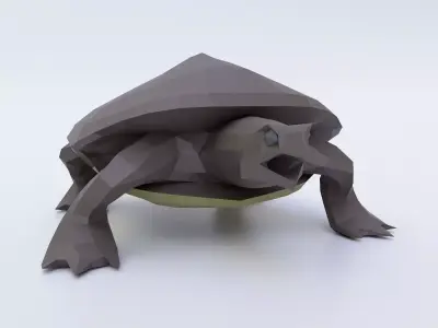 Turtle low poly 3d model origami Low-poly 3D model