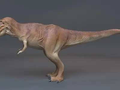 Trex 3d 3D model