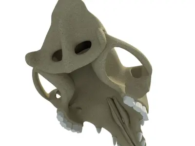 Camel Skull 3D model