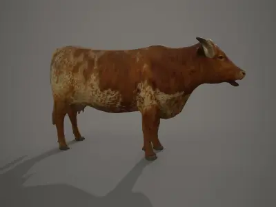 Dairy cow Low-poly 3D model