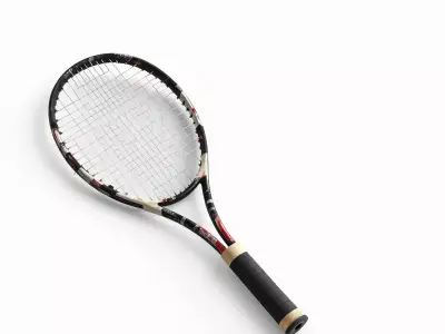 Professional Tennis Racket 3D Model Low-poly 3D model