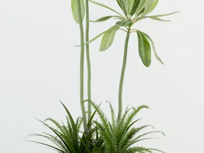 Plants collection 77 Modernica pots 3D model