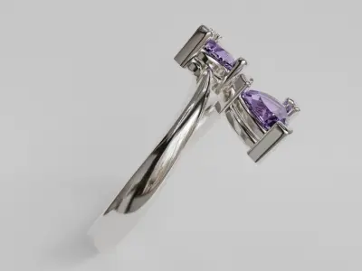 adjustable ring 3D print model