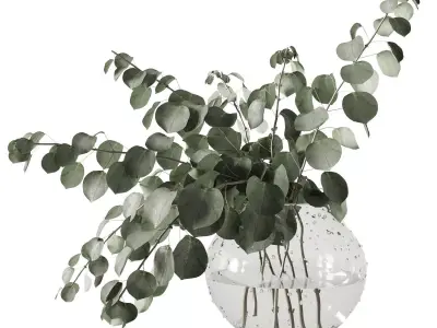 Eucalyptus bouquet 3D model