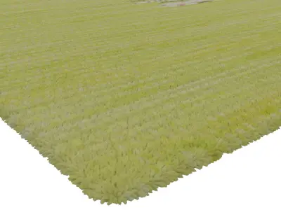 Rug Set 339 3D model