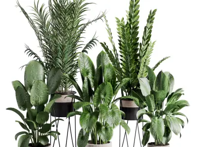 indoor plant 523 3D model