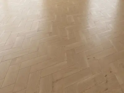  Parquet Oak Natural Brushed set 5 3D model