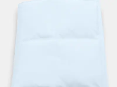 FJALLARNIKA All seasons duvet 1 3D model