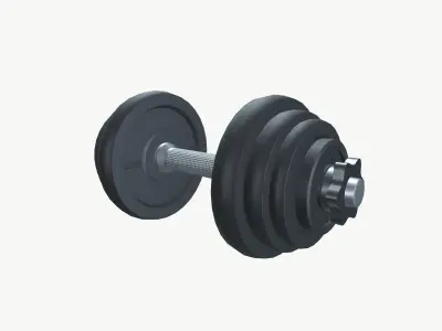 Exercise Metal Dumbbells  Low-poly 3D model