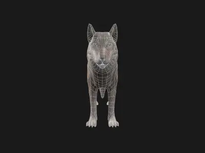 Wolf Game Model Low-poly 3D model