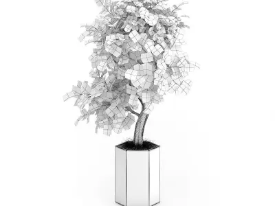 Bonsai Tree in Grey Pot 3D model