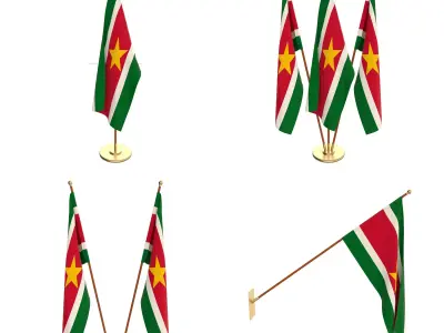 Suriname Flag Pack 3D model