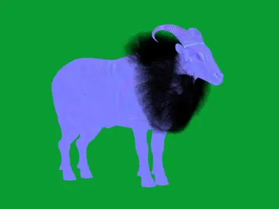 Himalayan Tahr Wild Goat Low-poly 3D model
