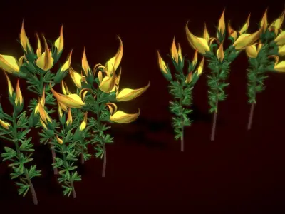 Flower Lotus Berthelotii Low-poly 3D model