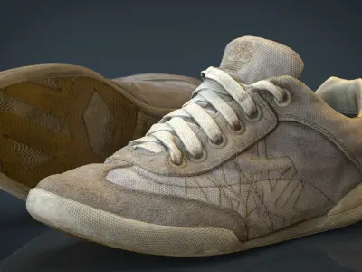 Sneakers pair of Low-poly 3D model