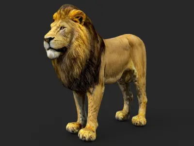 Lion Cartoon Low-poly 3D model buy