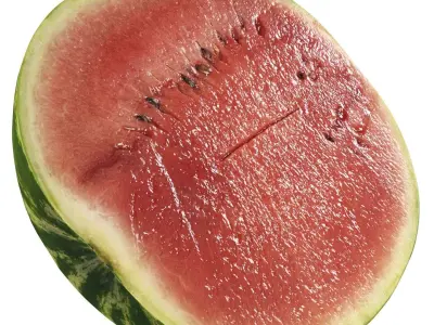 4k Watermelon 3D model