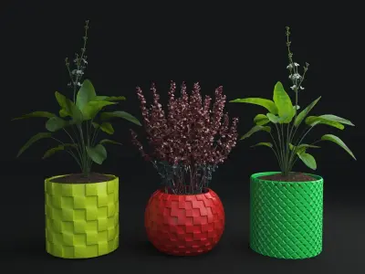 3D Printed STL File for Unique Pot and Vase Design 3D print model