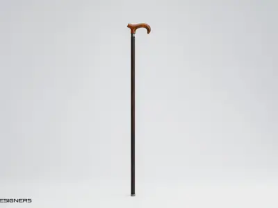 Walking Cane 3D model