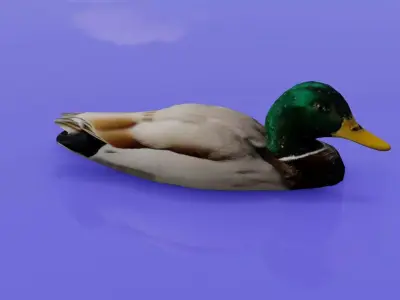 Duck 3D model floating in water Low-poly 3D model