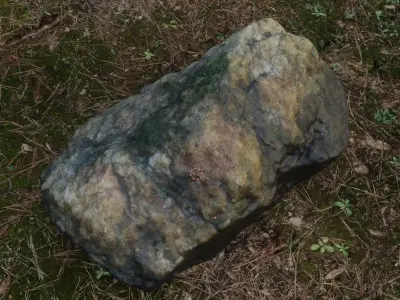 Photoscanned mossy quartzite Rock Free 3D model